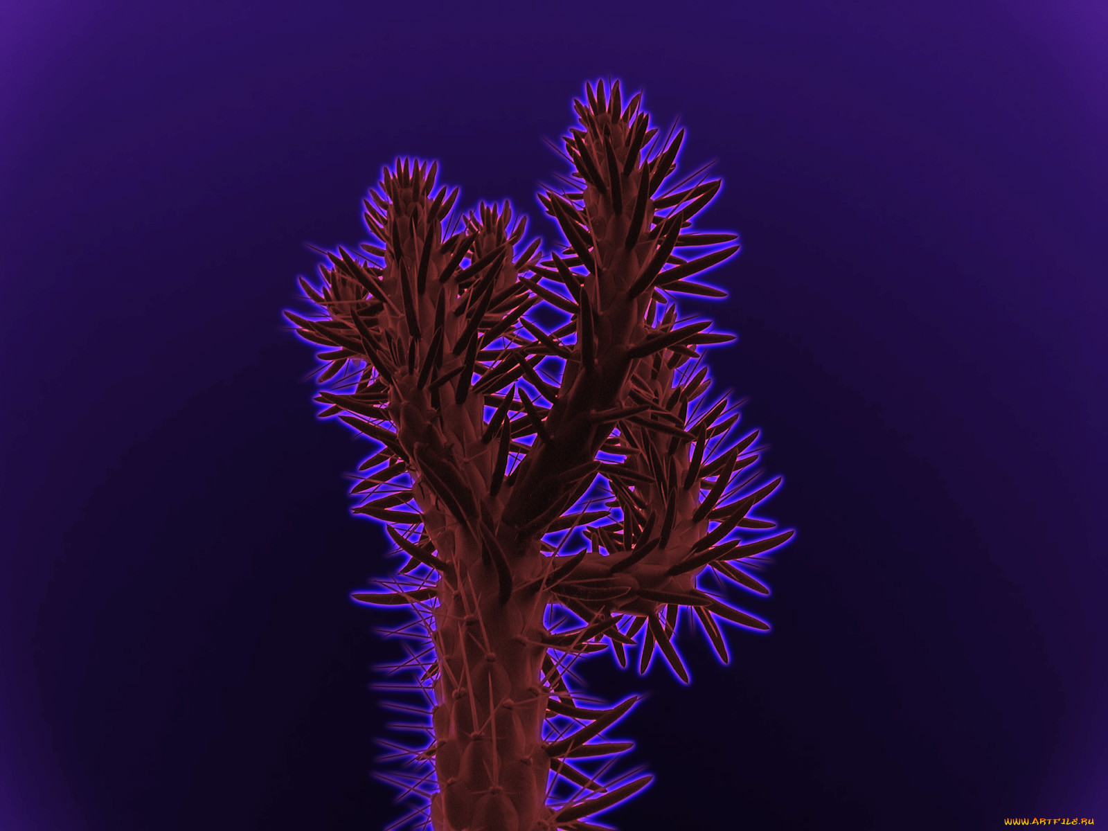 3, , flowers, , , , 